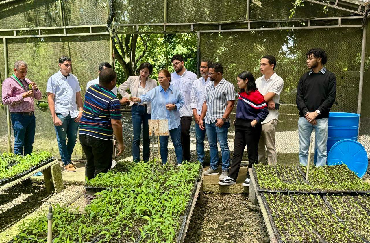 Visista Al IIBI Visista Al IIBI